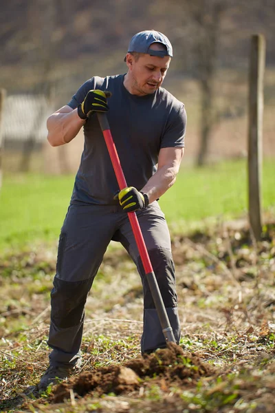 Homem Agricultor Plantando Nogueira Seu Pomar Durante Dia — Fotografia de Stock