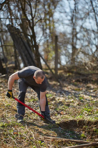 Homem Agricultor Plantando Nogueira Seu Pomar Durante Dia — Fotografia de Stock