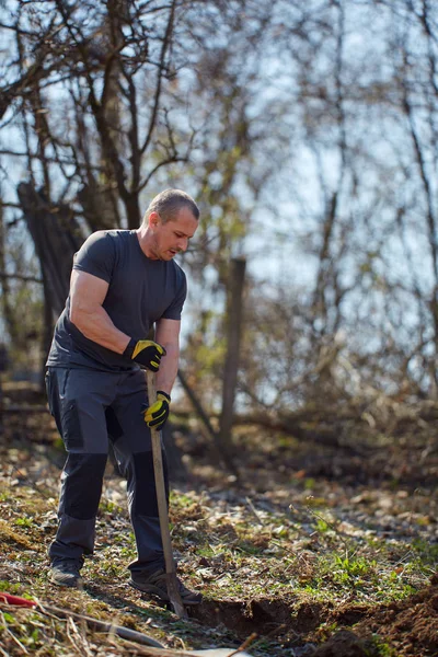 Чоловік Фермер Посадить Горіхове Дерево Своєму Саду Вдень — стокове фото