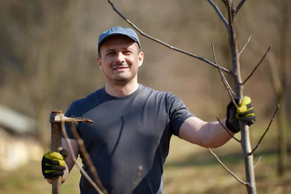 Mannelijke Boer Planten Walnoot Boom Zijn Boomgaard Overdag — Stockfoto