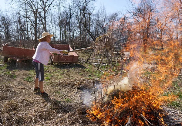 Žena Farmář Jarní Úklid Spálení Větví Padlých Listů Dvorku — Stock fotografie