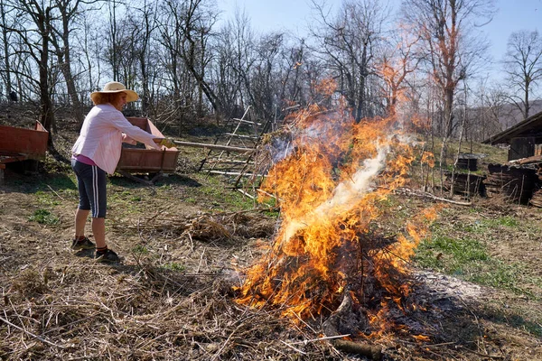 Mezőgazdasági Termelő Tavaszi Takarítás Égő Vágott Ágak Elesett Levelek Kertjében — Stock Fotó