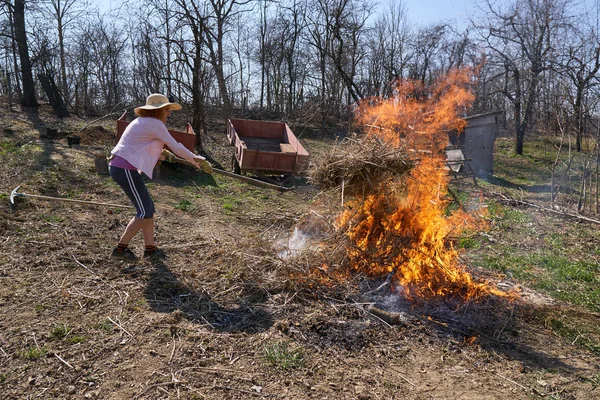 Mulher Agricultor Primavera Limpeza Queima Cortar Ramos Folhas Caídas Quintal — Fotografia de Stock