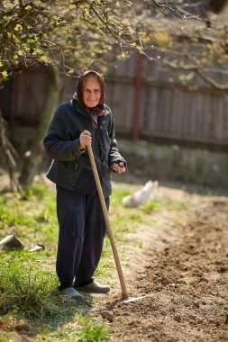 Yaşlı çiftçi kadın gündüz çapa ile arazi çalışıyor