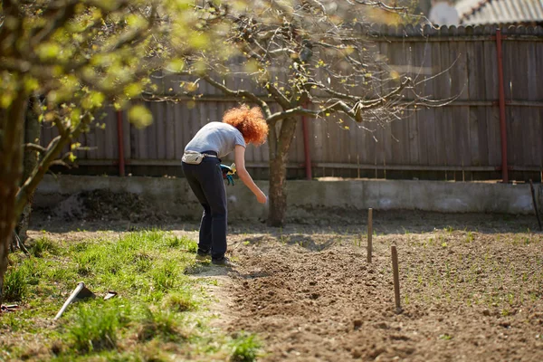 白人の赤毛の女性農家は彼女の庭に様々な種を植える — ストック写真