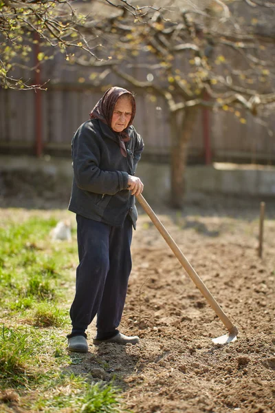 Oude Boer Vrouw Werkt Het Land Met Schoffel Overdag — Stockfoto