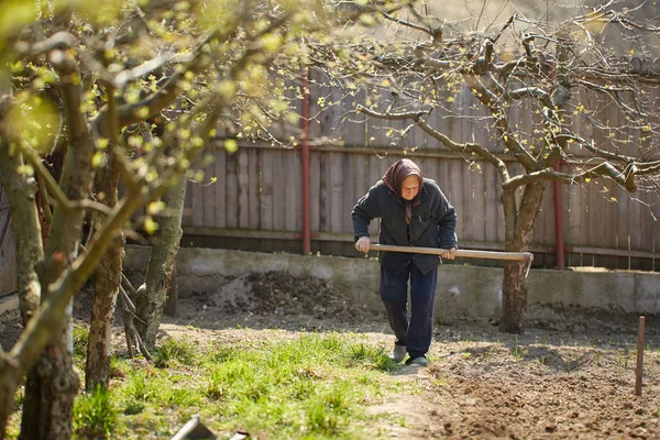 Oude Boer Vrouw Werkt Het Land Met Schoffel Overdag — Stockfoto