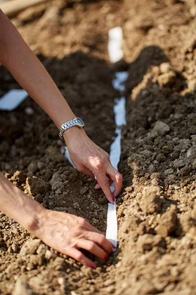 Kaukasische Redhead Vrouw Boer Planten Verschillende Zaden Haar Tuin — Stockfoto