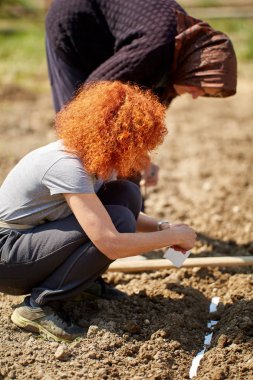 Anne ve kızı bahçede çeşitli tohumlar dikim