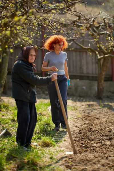 Kaukaski Kobieta Rolnik Jej Matka Pracuje Ogrodzie — Zdjęcie stockowe
