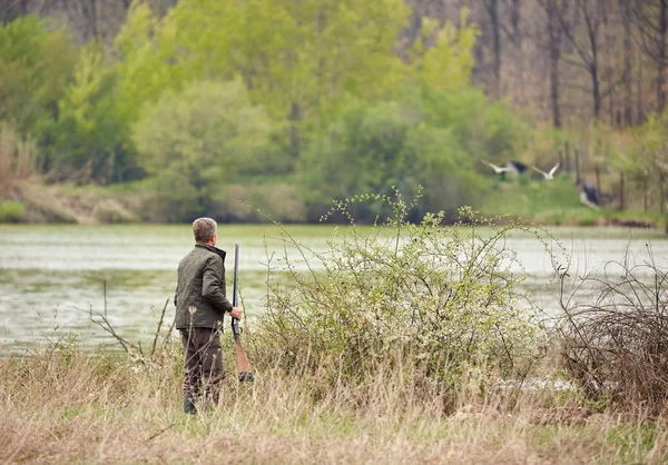 湖の上で野生のアヒルに忍び寄るハンター — ストック写真