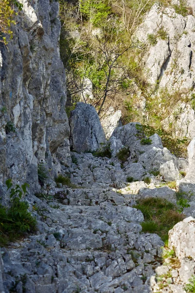 Fjäll Stig Klippiga Bergen — Stockfoto