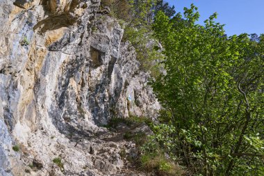 Dağda çeşitli yaprak döken orman geçiyor Yürüyüş parkuru