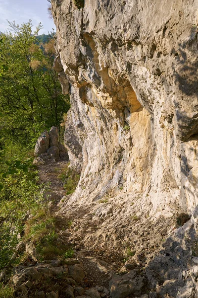 Sentier Pédestre Traversant Diverses Forêts Feuillus Sur Montagne — Photo