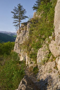 Dağ manzarası ile bahar kayalık iz