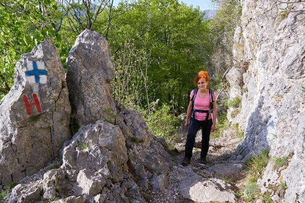 Actieve Vrouw Een Wandelpad Bos — Stockfoto