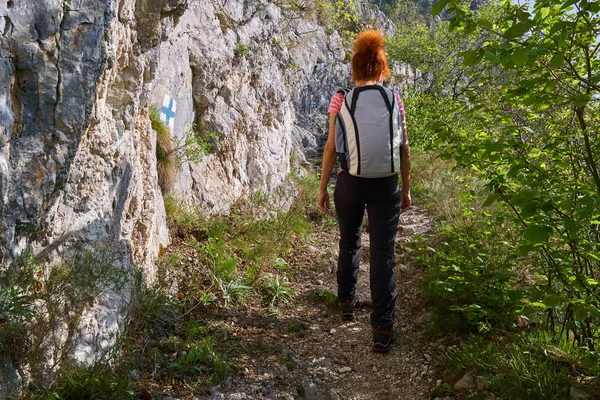 Mulher Ativa Uma Trilha Caminhadas Floresta — Fotografia de Stock