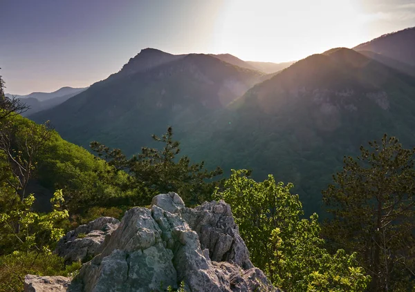 Високий Повітряний Пейзаж Горами Лісами — стокове фото