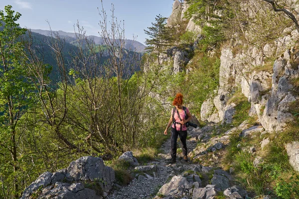 Mulher Ativa Uma Trilha Caminhadas Floresta — Fotografia de Stock