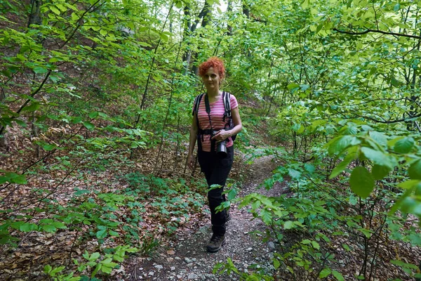 Mulher Ativa Uma Trilha Caminhadas Floresta — Fotografia de Stock