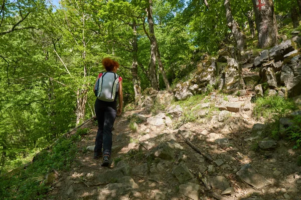 Active Woman Hiking Trail Forest — Stock Photo, Image