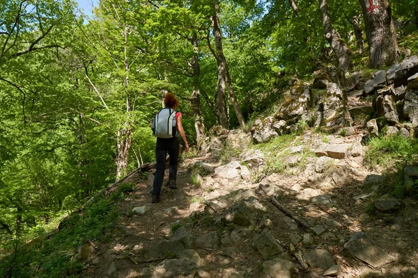 Active Woman Hiking Trail Forest — Stock Photo, Image