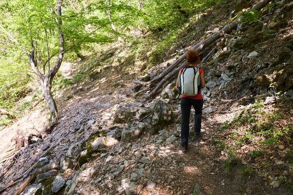 Femme Active Sur Sentier Randonnée Forêt — Photo