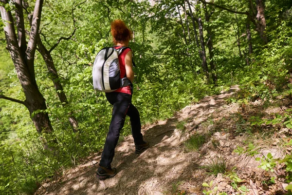 森のハイキングコースでアクティブな女性 — ストック写真