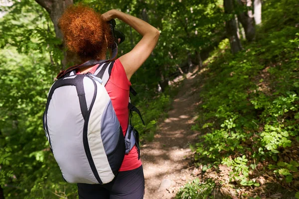 森のハイキングコースでアクティブな女性 — ストック写真