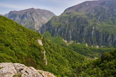 Yüksek ağaçlıklı dağların güzel görünümü