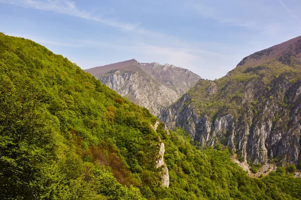 Krásný Výhled Zalesněné Hory — Stock fotografie