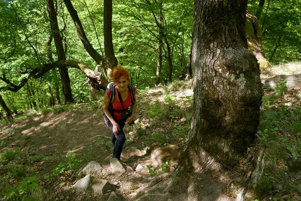 Curly Redhead Woman Backpack Hiking Trail — Stock Photo, Image