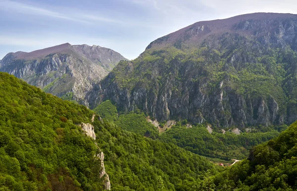 高い森林に満ちている山々の美しい景色 — ストック写真