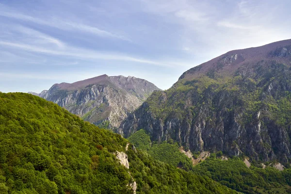 Krásný Výhled Zalesněné Hory — Stock fotografie