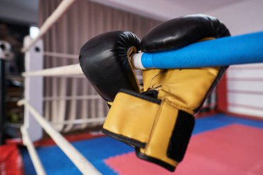 Spor salonunda eldiven ve eldiven ile Kickboks ekipmanları