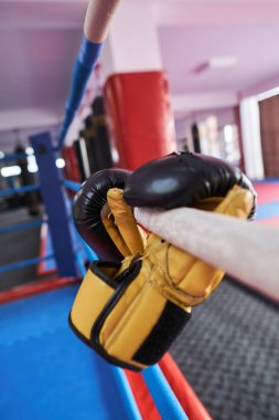 Spor salonunda eldiven ve eldiven ile Kickboks ekipmanları