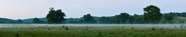 Sydd Panorama Skog Efter Skymningen Med Dimma Slätt — Stockfoto