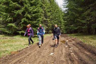Sırt çantaları ile çam ormanlarında bir iz üzerinde yürüyüş ile Turistler