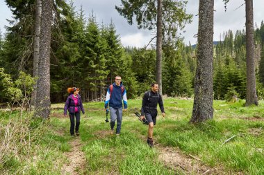 Sırt çantaları ile çam ormanlarında bir iz üzerinde yürüyüş ile Turistler