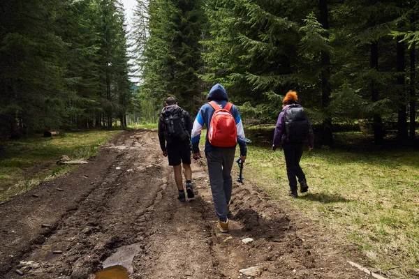 Touristes Avec Sacs Dos Randonnée Sur Sentier Dans Les Forêts — Photo
