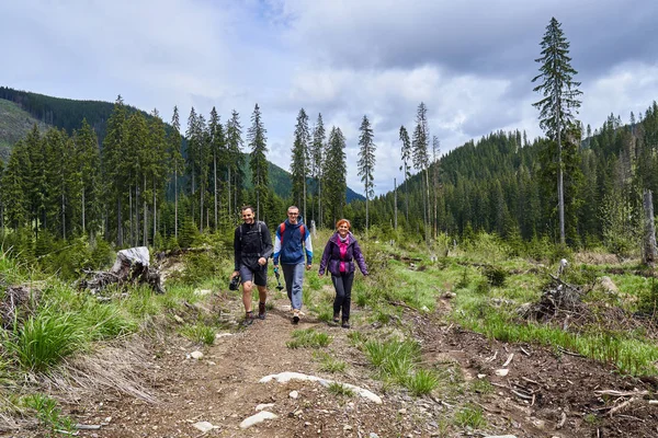 Sırt çantaları ile çam ormanlarında bir iz üzerinde yürüyüş ile Turistler