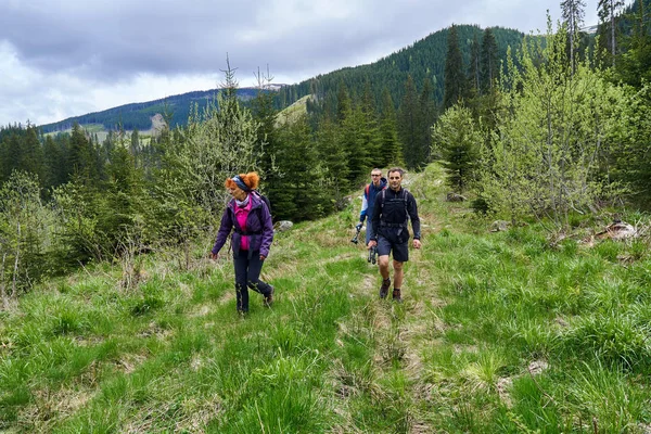 Turistas Con Mochilas Haciendo Senderismo Por Sendero Los Bosques Pinos — Foto de Stock