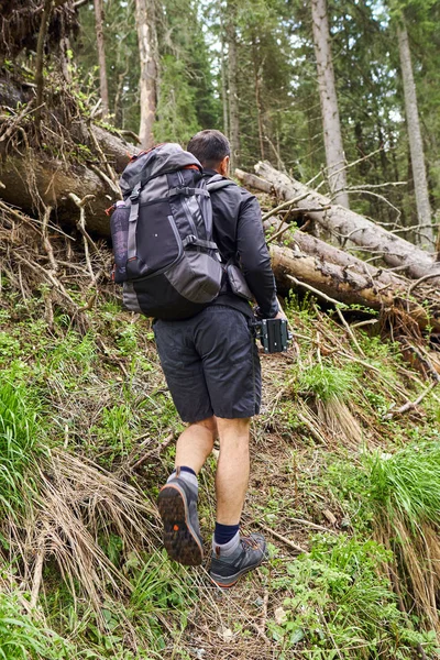 在树林里的小径上背着背包的徒步旅行者 — 图库照片