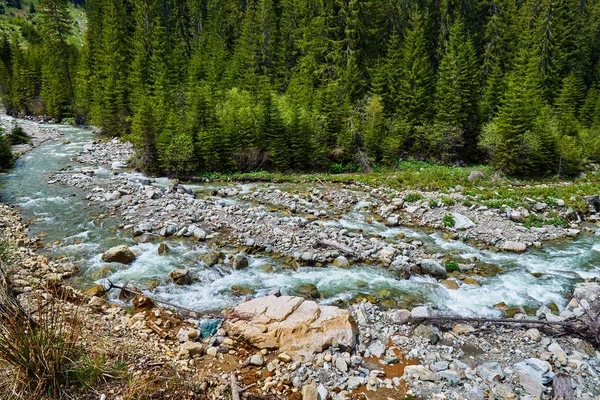 Krajina Horská Řeka Která Teče Přes Borovicový Les Louky — Stock fotografie