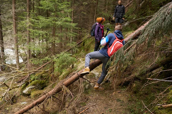 Touristen Mit Rucksack Wandern Auf Einem Wanderweg Den Kiefernwäldern — Stockfoto