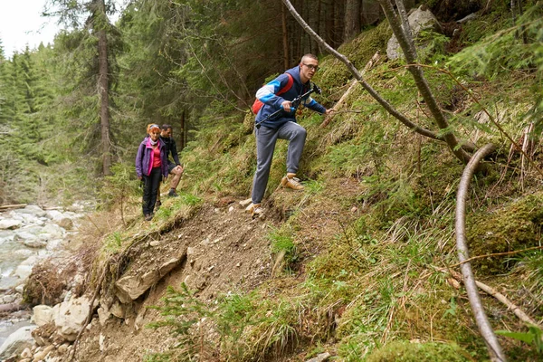 Turistas Con Mochilas Haciendo Senderismo Por Sendero Los Bosques Pinos —  Fotos de Stock