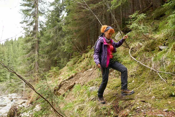 Žena Pěší Turistika Lesích Borovic — Stock fotografie