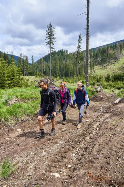 Touristes Avec Sacs Dos Randonnée Sur Sentier Dans Les Forêts Images De Stock Libres De Droits