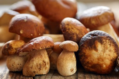 Bir tahta üzerinde Cep mantar, pişmiş hazır