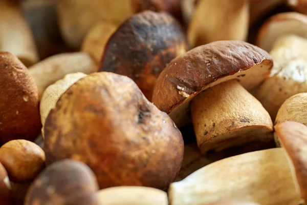 Cep Mushrooms Wooden Board Ready Cooked — Stock Photo, Image